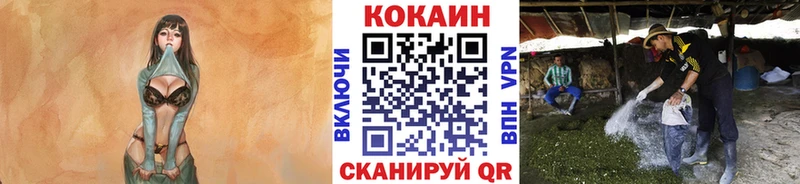 COCAIN Боливия Липецк