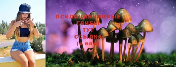 синтетический гашиш Лихославль