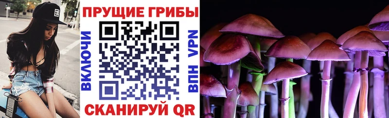 Псилоцибиновые грибы Magic Shrooms  Липецк 