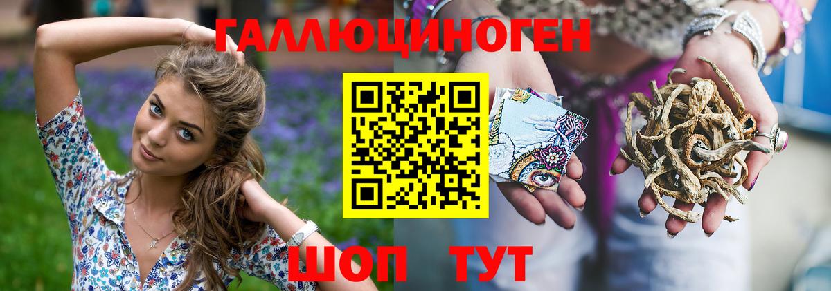 купить наркоту  Галлюциногенные грибы Psilocybe  Липецк  Галлюциногенные грибы прущие грибы 